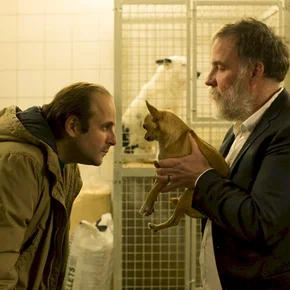Photo du film : Chien