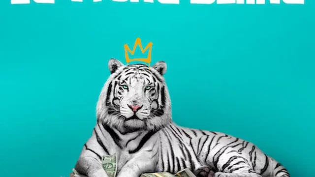 Affiche du film : Le Tigre blanc