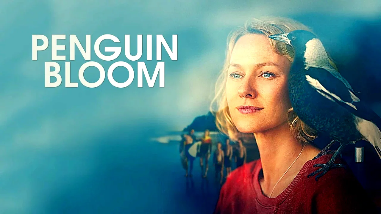 Photo 1 du film : Penguin Bloom