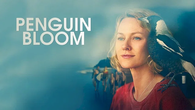 Affiche du film : Penguin Bloom