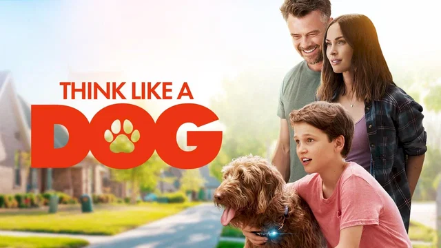 Photo du film : Un esprit de chien