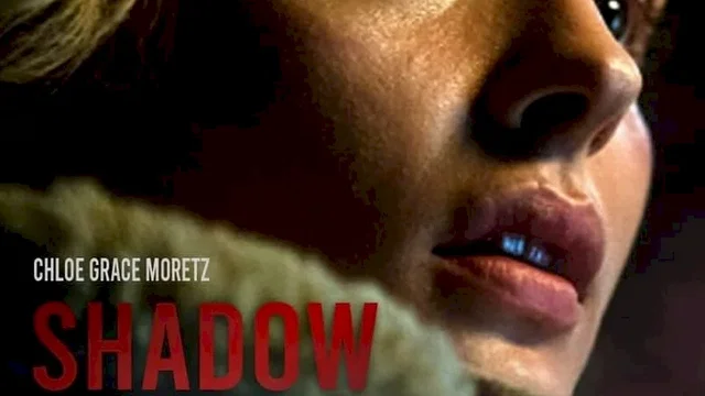 Affiche du film : Shadow in the Cloud