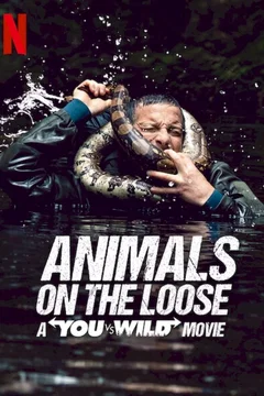 Affiche du film = Sauve qui peut : Un film "You vs. Wild"