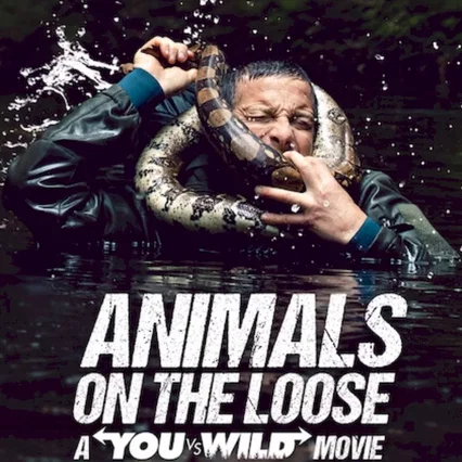 Miniature photo du film : Sauve qui peut : Un film "You vs. Wild"