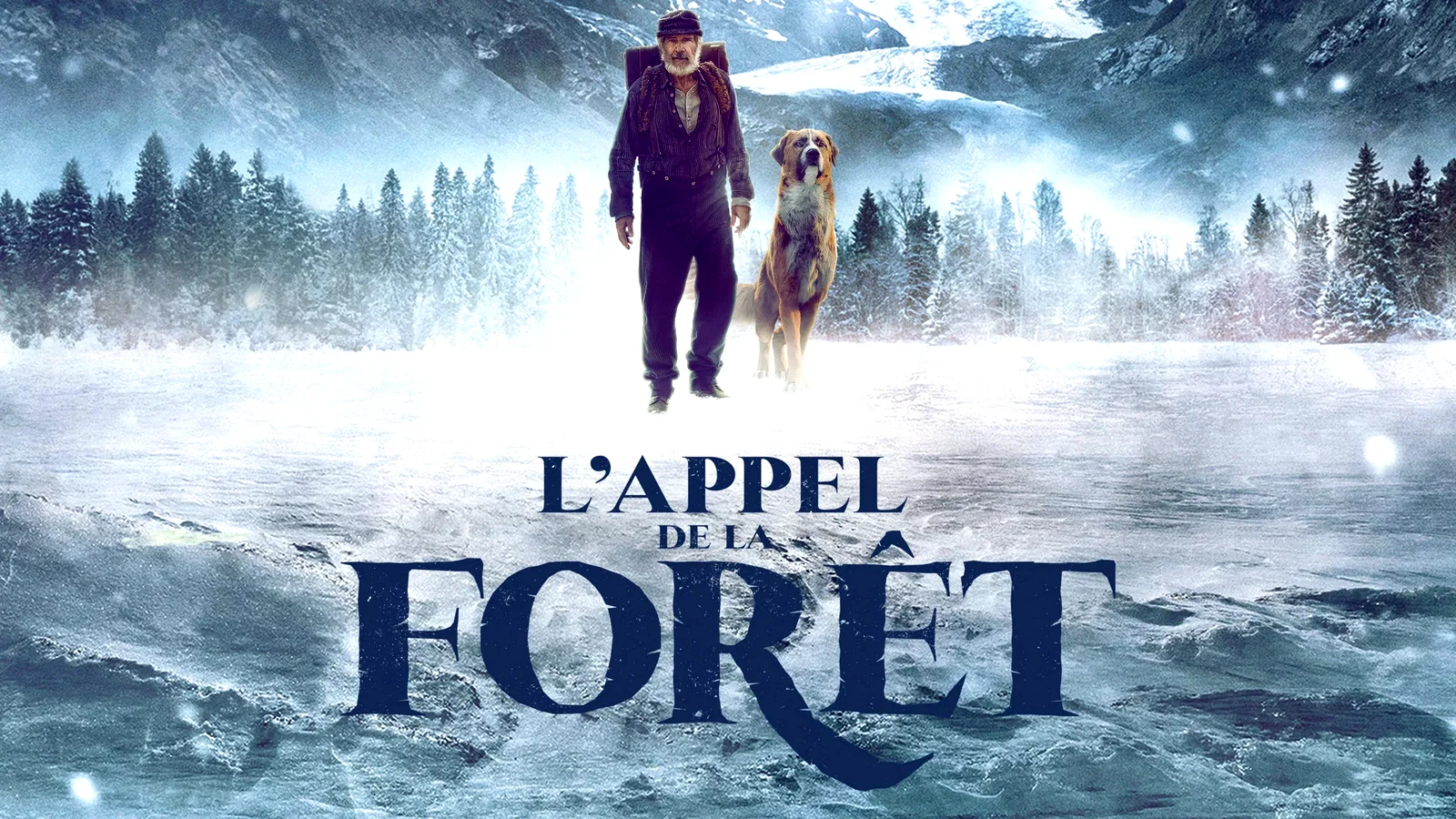 Photo 1 du film : L'appel de la forêt