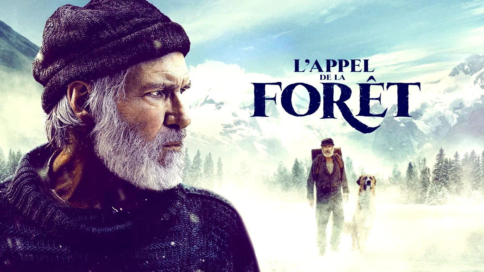Photo 2 du film : L'appel de la forêt