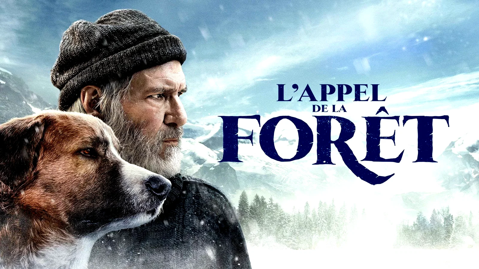Photo 3 du film : L'appel de la forêt