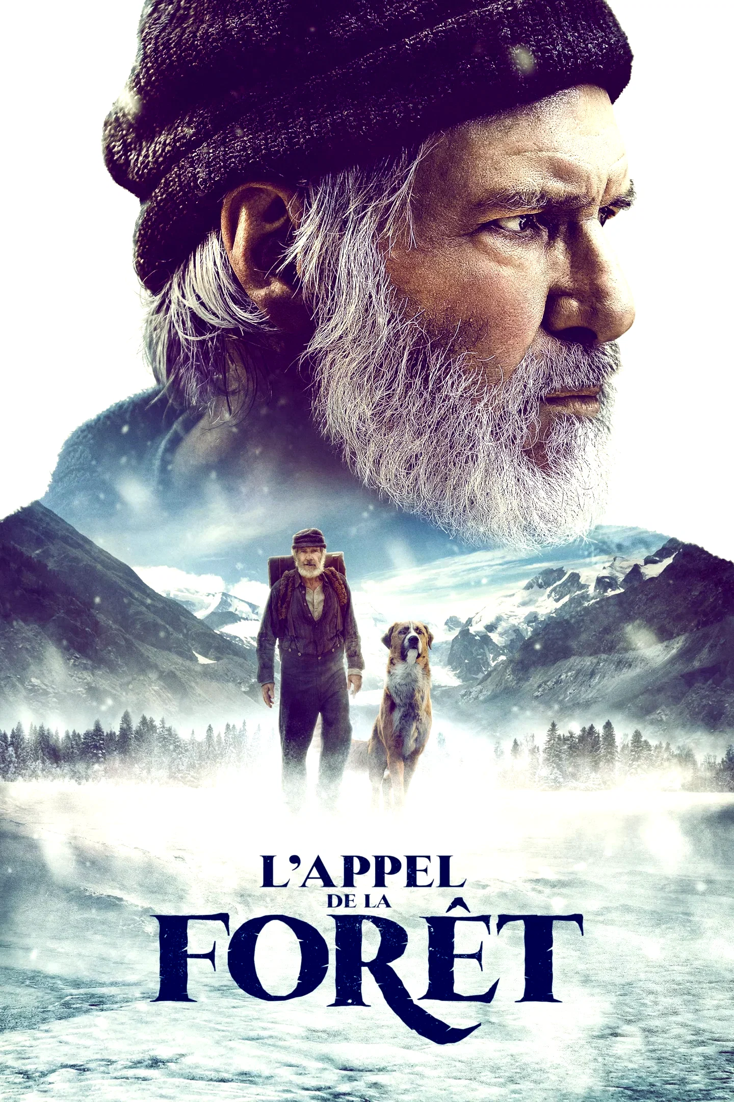 Affiche du film : L'appel de la forêt