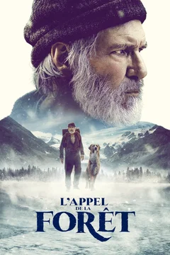 Affiche du film L'appel de la forêt