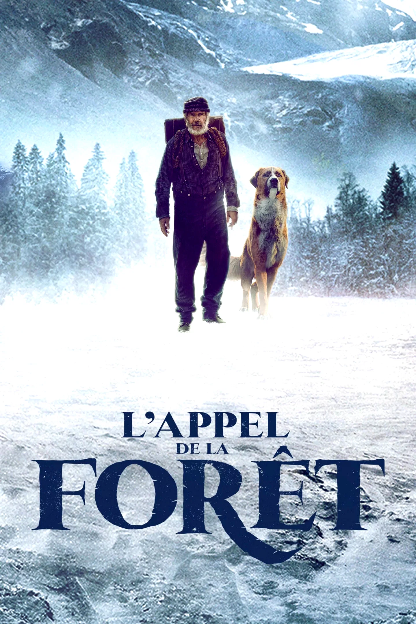Photo 9 du film : L'appel de la forêt
