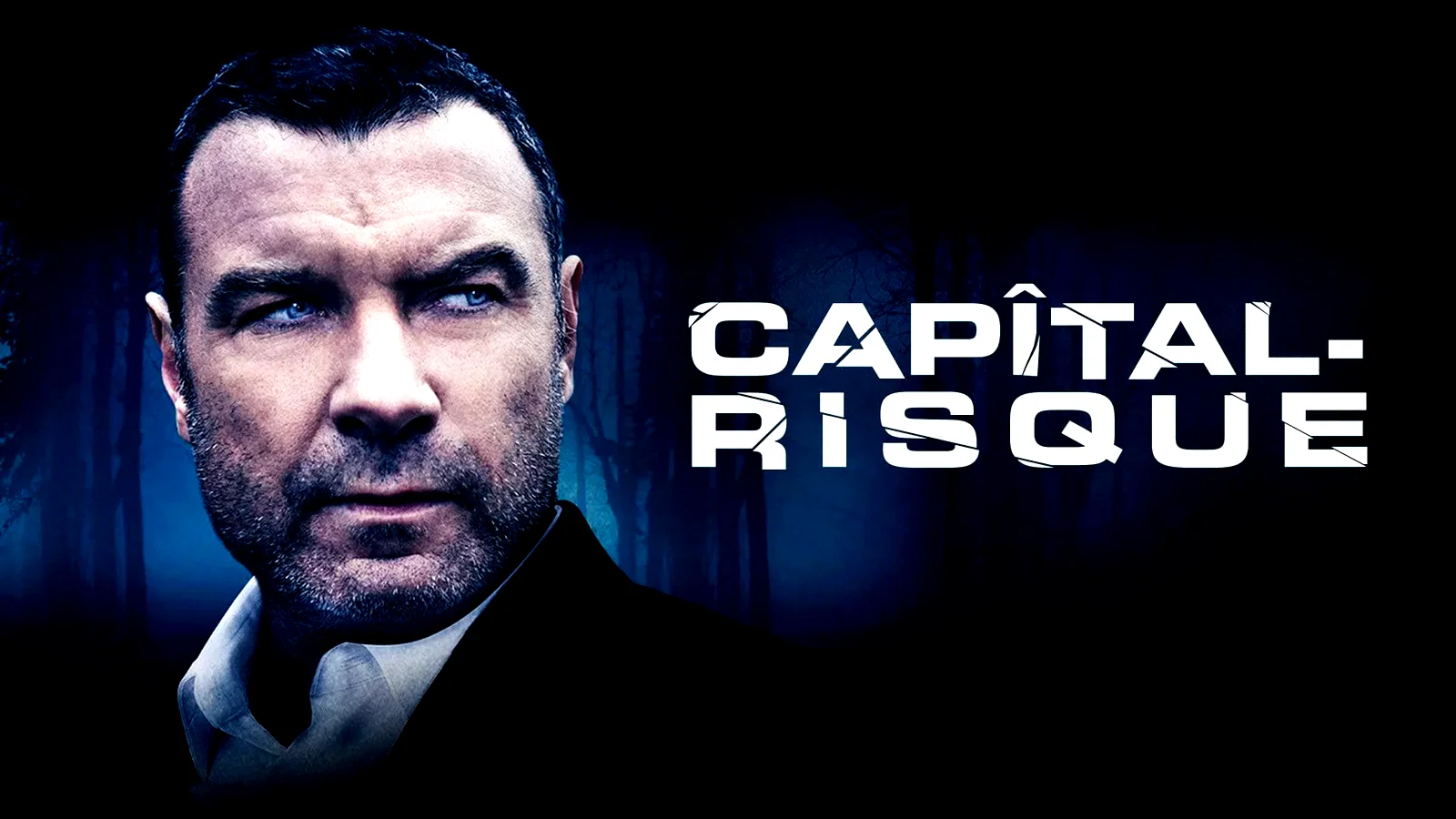 Photo 1 du film : Human Capital
