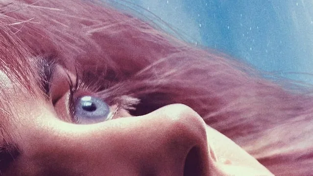 Affiche du film : Horse Girl