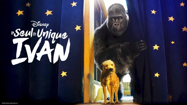 Photo du film : Le Seul et unique Ivan
