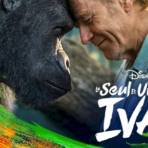 Photo du film : Le Seul et unique Ivan