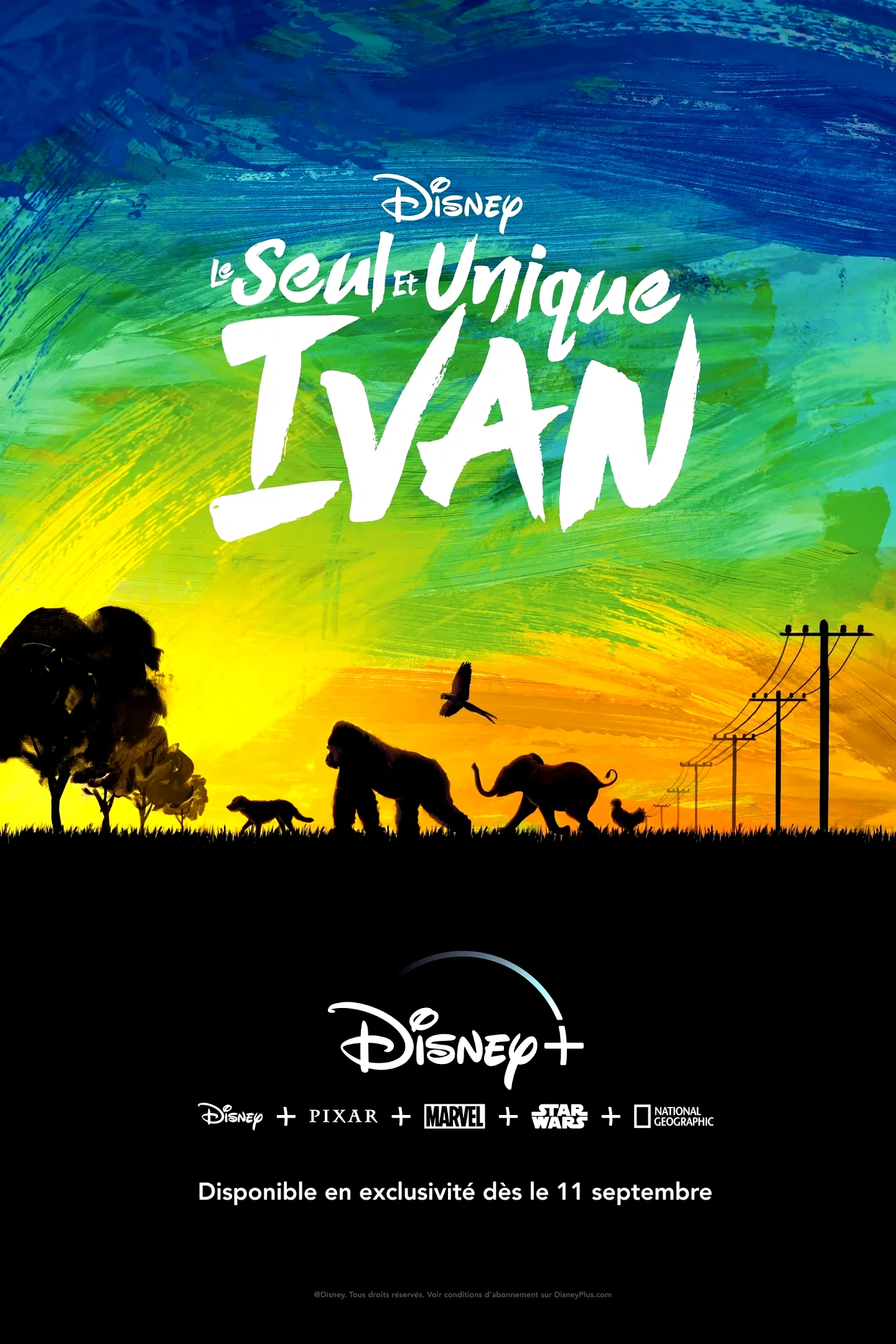 Photo 4 du film : Le Seul et unique Ivan
