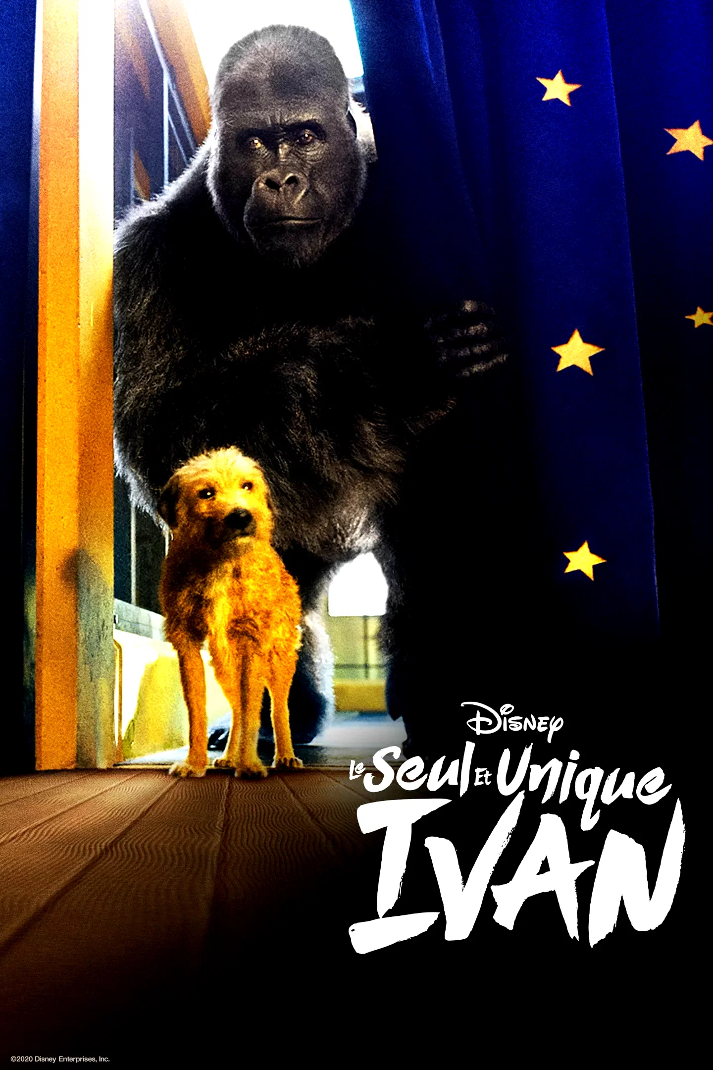 Photo 5 du film : Le Seul et unique Ivan