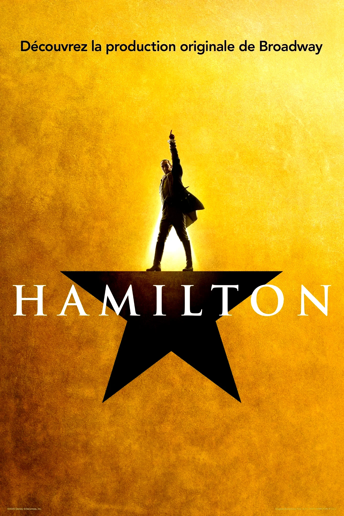Affiche du film : Hamilton