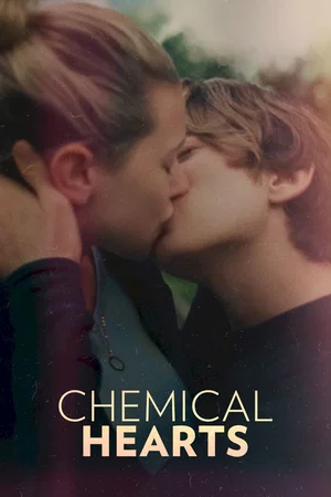 Affiche du film : Les désaccords du cœur