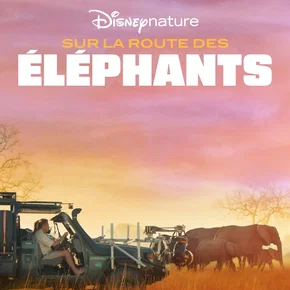 Photo du film : Sur la route des éléphants