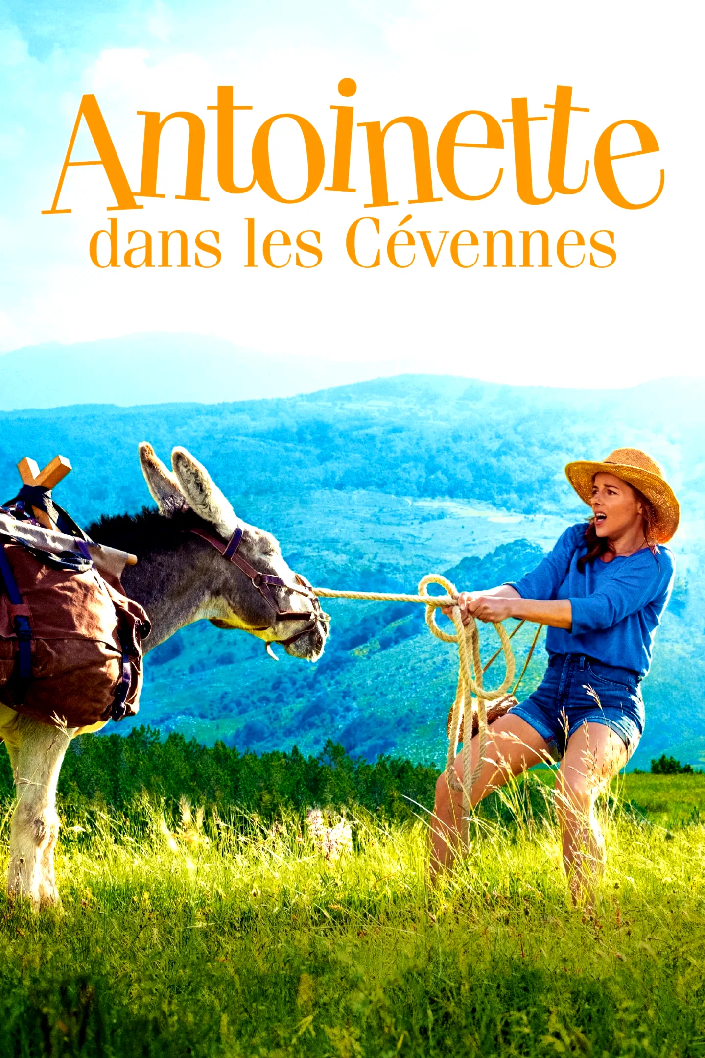 Affiche du film : Antoinette dans les Cévennes