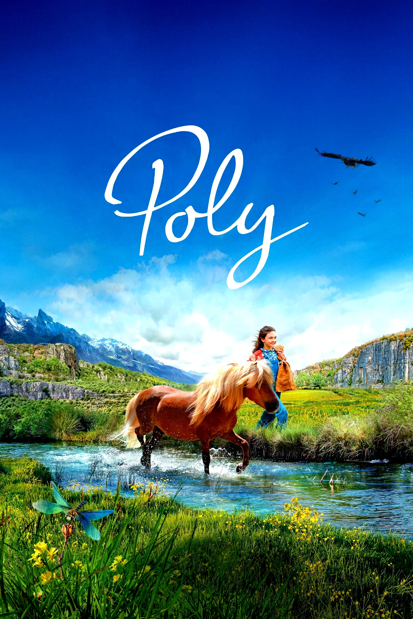Affiche du film : Poly