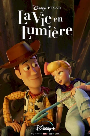 Affiche du film : La vie en lumière