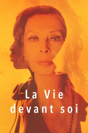 Affiche du film : La vie devant soi