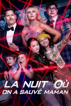 Affiche du film = La nuit où on a sauvé Maman