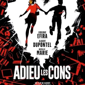 Photo du film : Adieu les cons