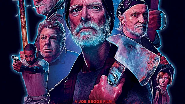 Affiche du film : VFW
