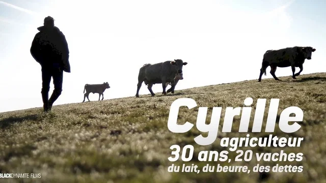 Affiche du film : Cyrille, agriculteur, 30 ans, 20 vaches, du lait, du beurre, des dettes