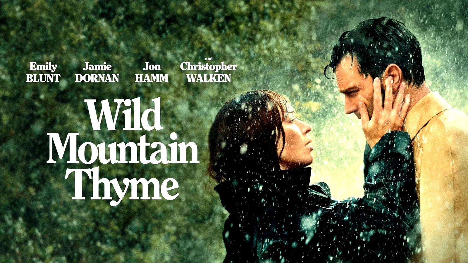 Photo 1 du film : Wild Mountain Thyme