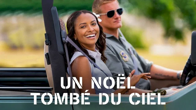 Affiche du film : Un Noël tombé du ciel