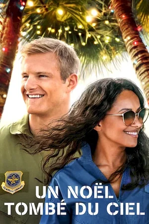 Affiche du film : Un Noël tombé du ciel