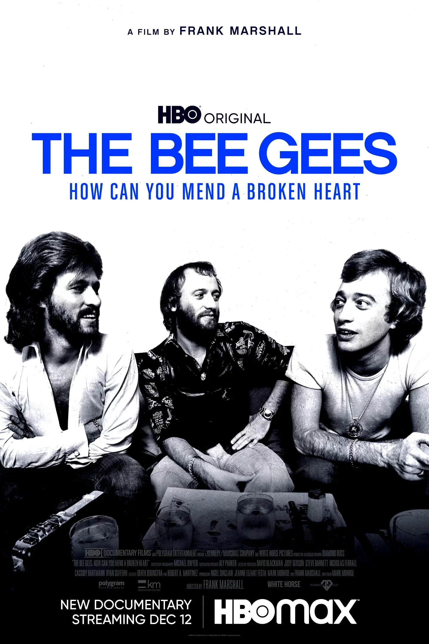 Photo du film : The Bee Gees: How Can You Mend a Broken Heart