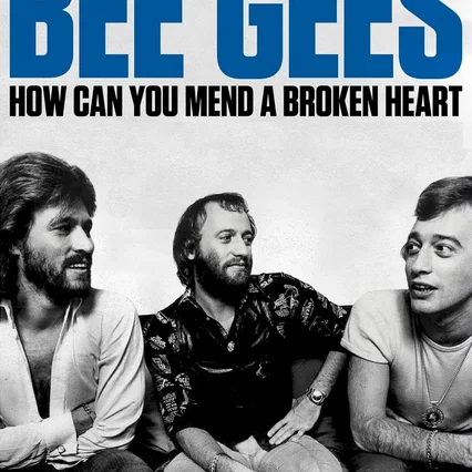 Miniature photo du film : The Bee Gees: How Can You Mend a Broken Heart