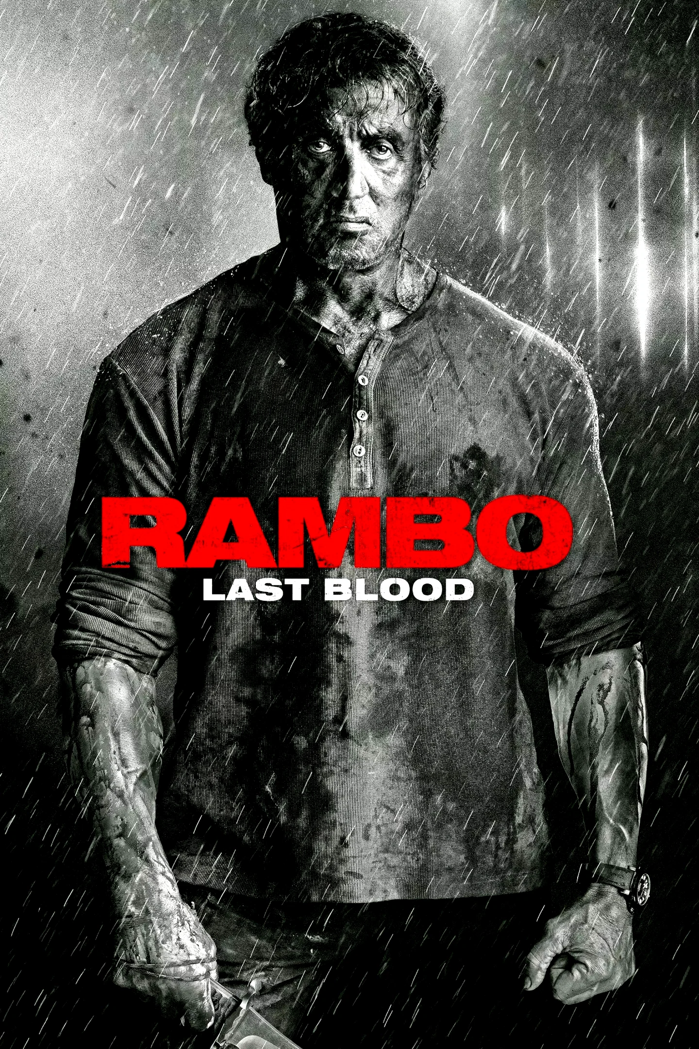 Affiche du film : Rambo : Last Blood