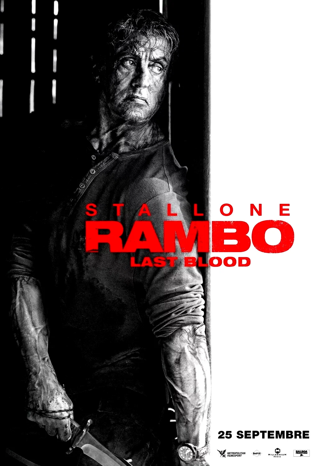 Photo 6 du film : Rambo : Last Blood