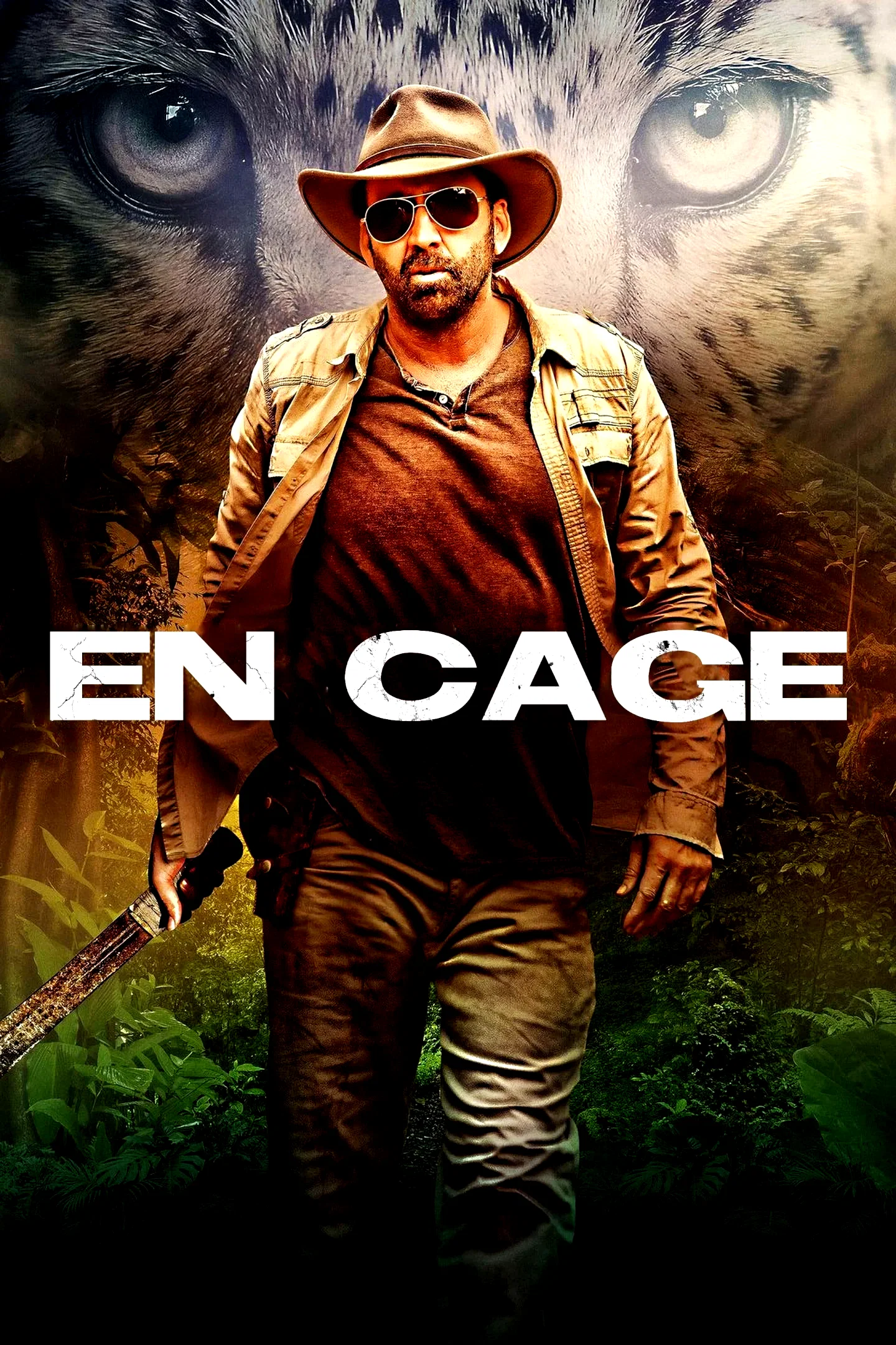 Affiche du film : En cage