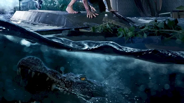 Affiche du film : Crawl
