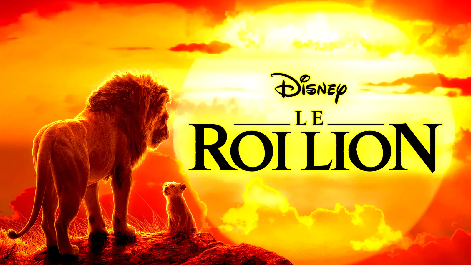 Photo 1 du film : Le Roi Lion