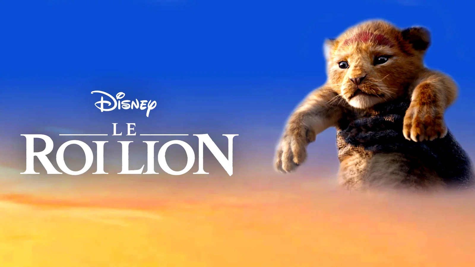 Photo 2 du film : Le Roi Lion
