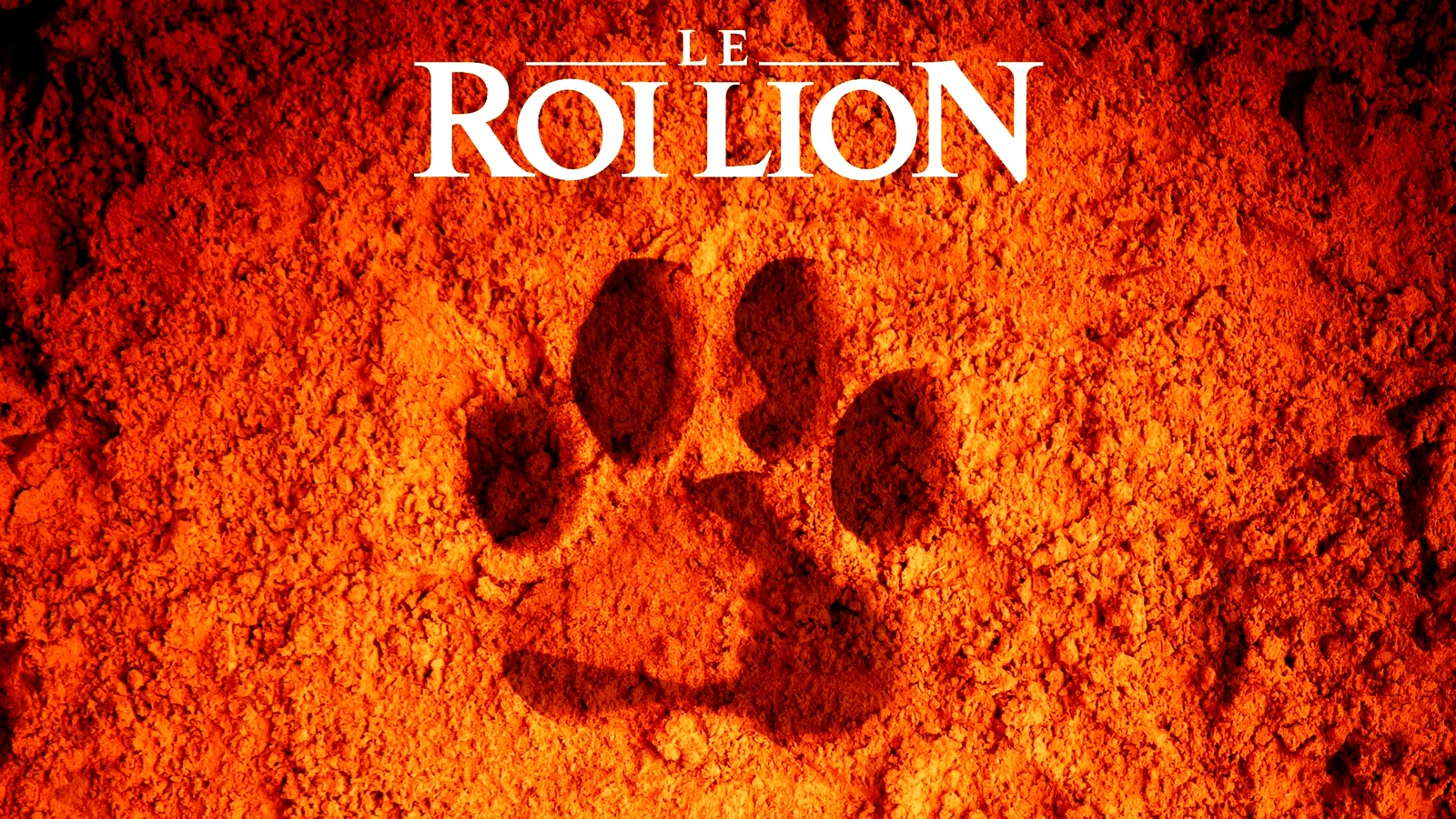 Photo 3 du film : Le Roi Lion