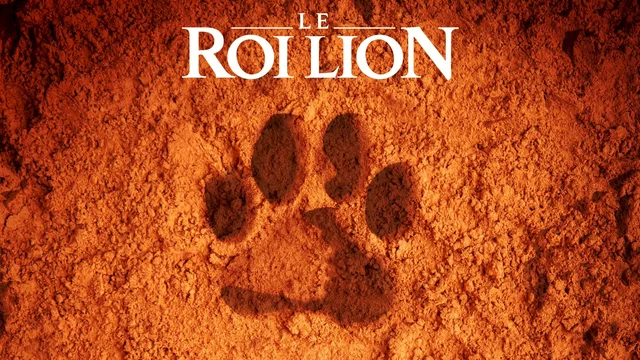 Photo 3 du film : Le Roi Lion