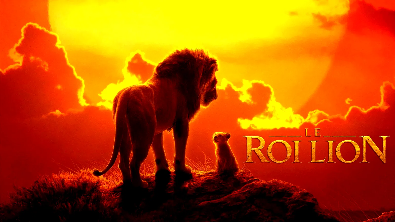 Photo 4 du film : Le Roi Lion