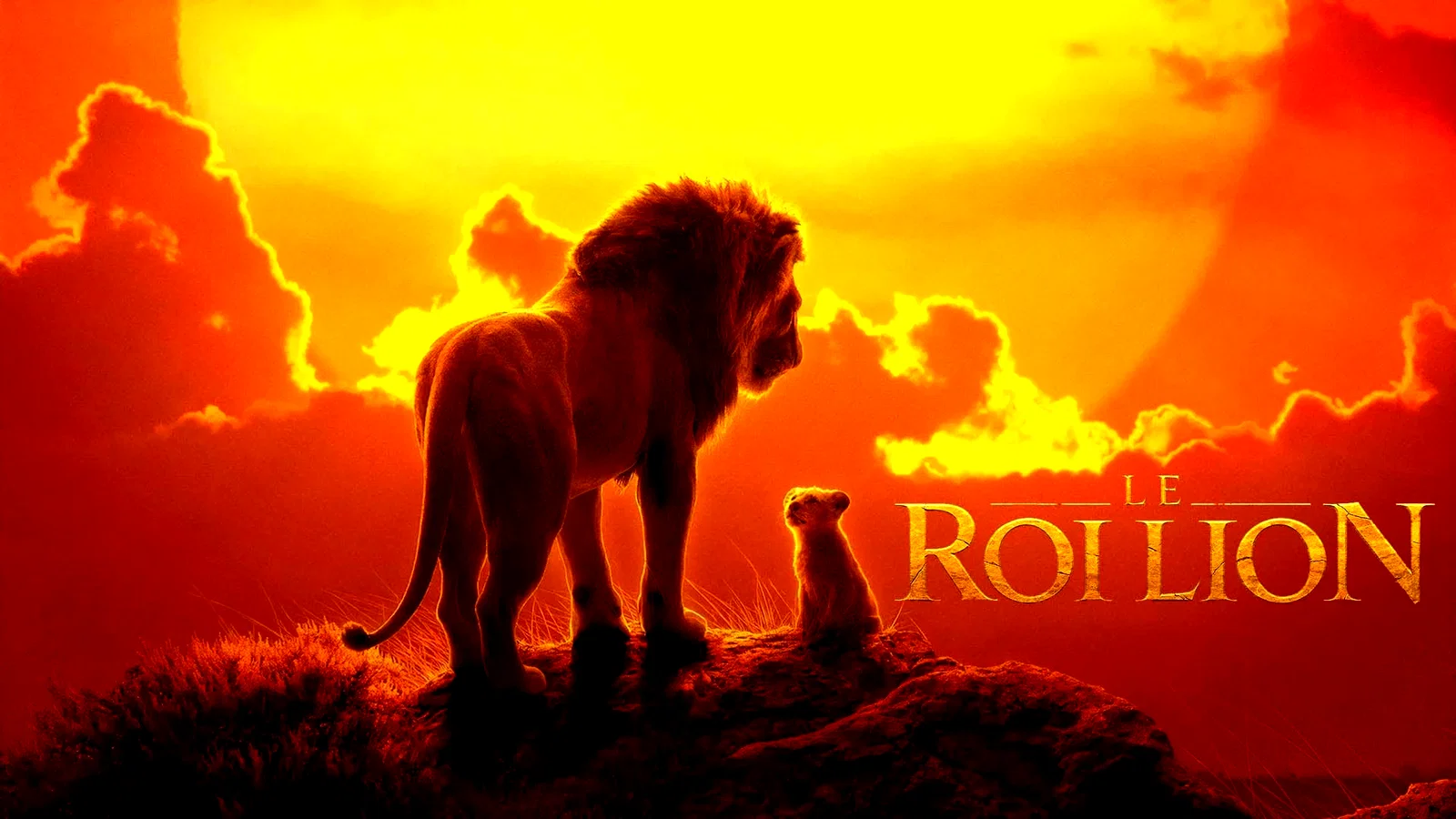 Photo 5 du film : Le Roi Lion