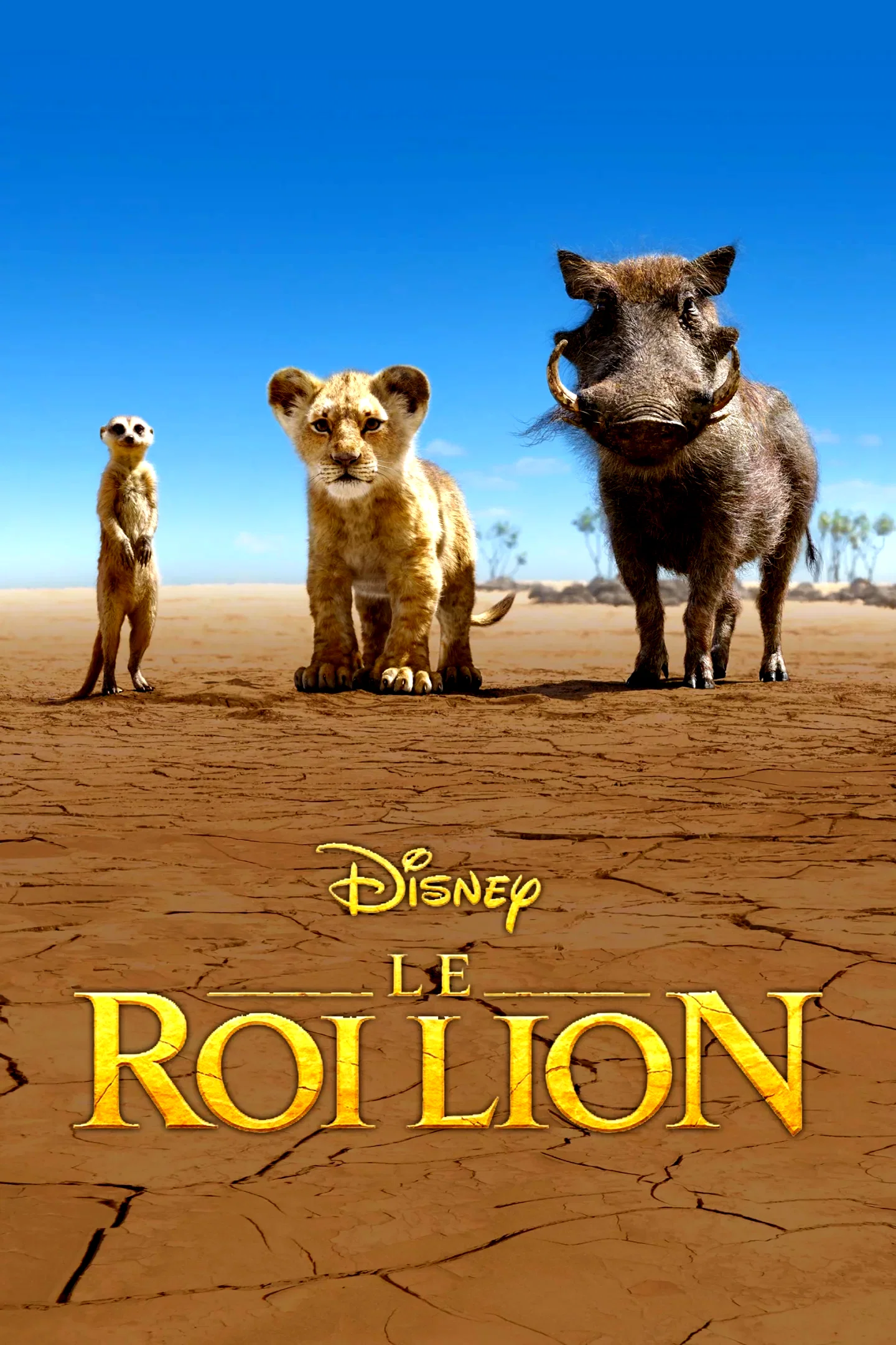 Photo 8 du film : Le Roi Lion