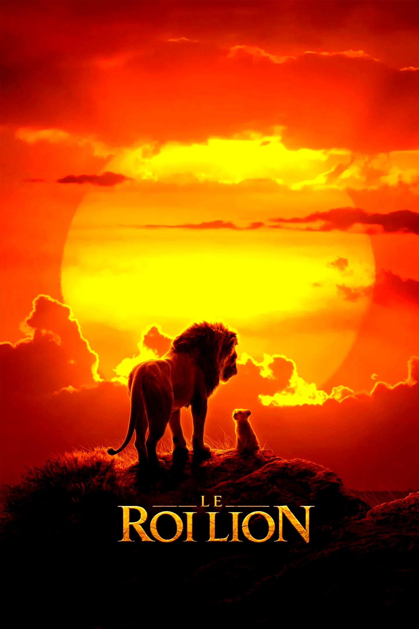 Photo 9 du film : Le Roi Lion