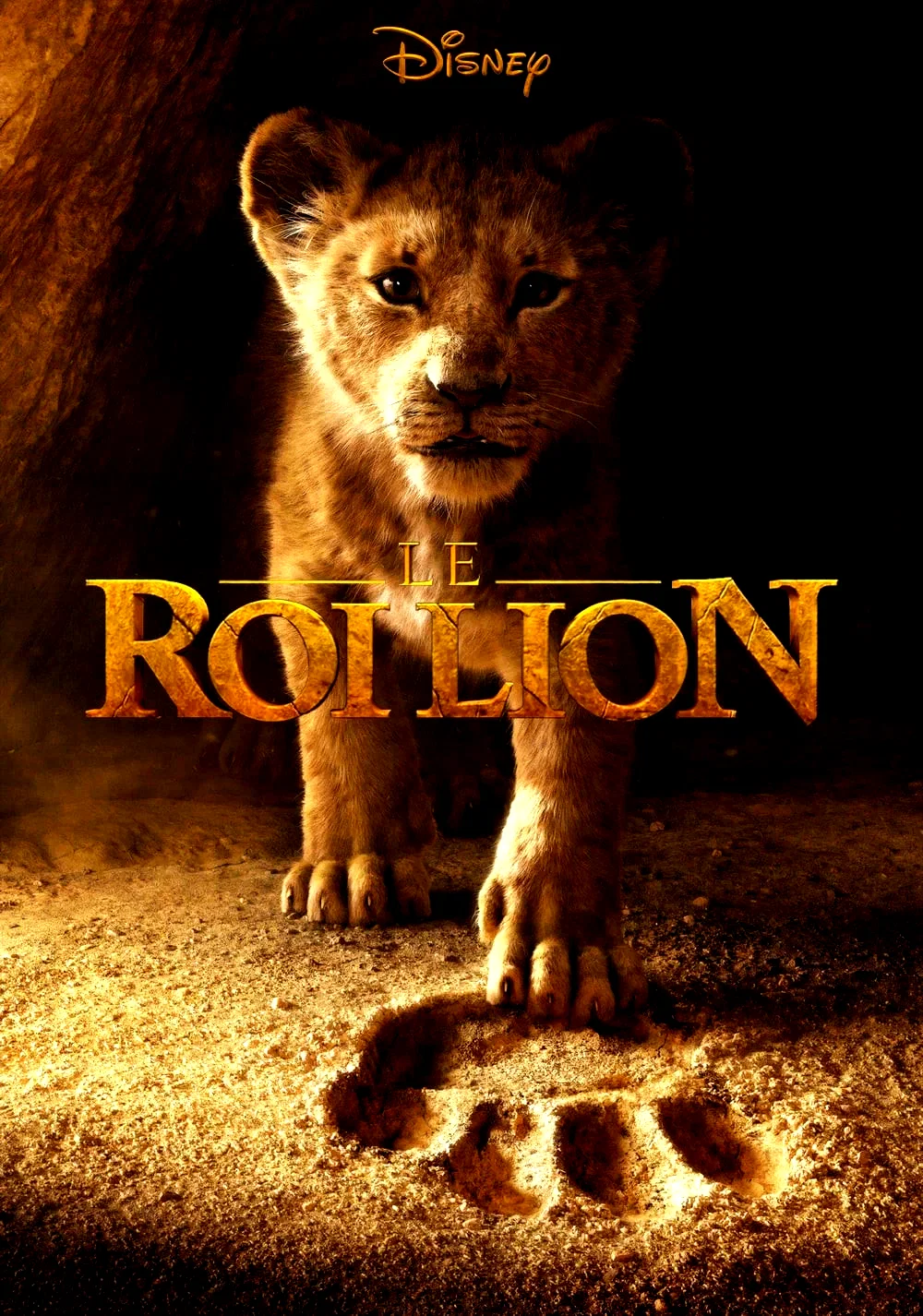 Photo 13 du film : Le Roi Lion