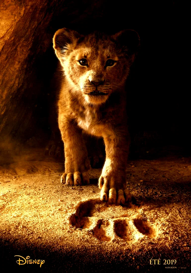 Photo 14 du film : Le Roi Lion